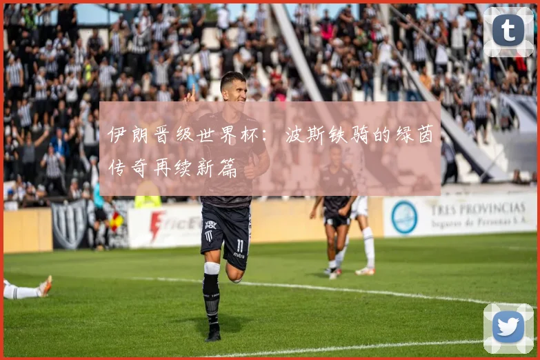 伊朗晋级世界杯：波斯铁骑的绿茵传奇再续新篇