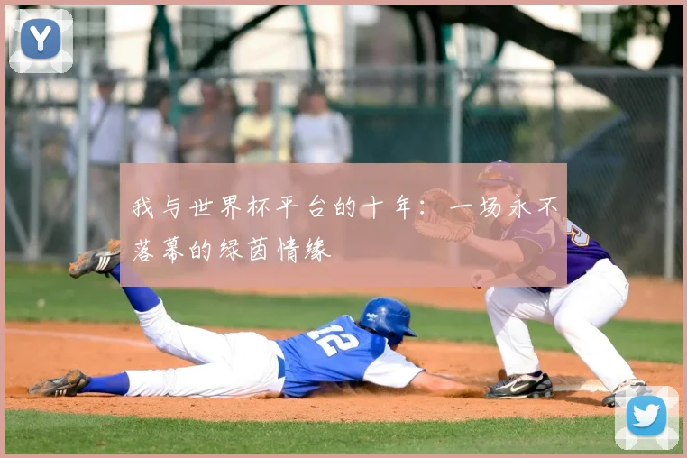 我与世界杯平台的十年：一场永不落幕的绿茵情缘