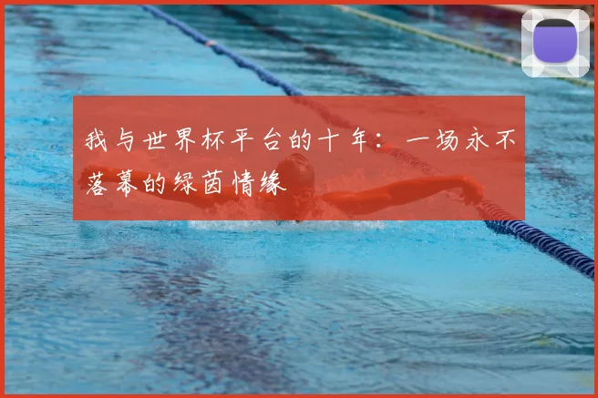 我与世界杯平台的十年：一场永不落幕的绿茵情缘