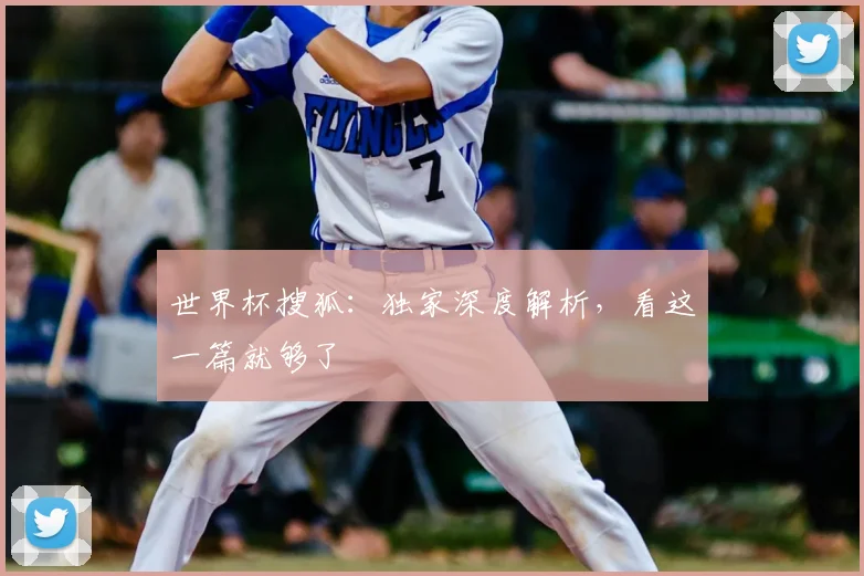 世界杯搜狐:独家深度解析,看这一篇就够了