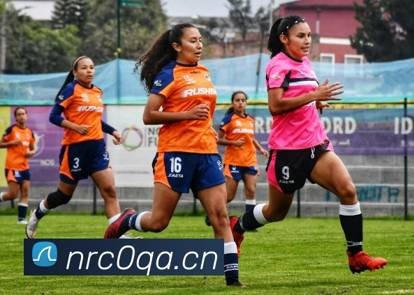 星空体育最新官网地址APP 高清赛事图